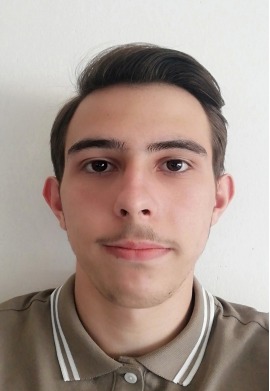 Damian Mioc